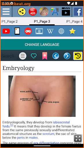 Labia Majora Anatomy screenshot