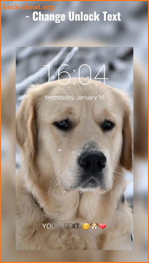 Labrador Lock Screen screenshot