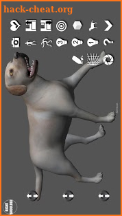 Labrador Pose Tool 3D screenshot