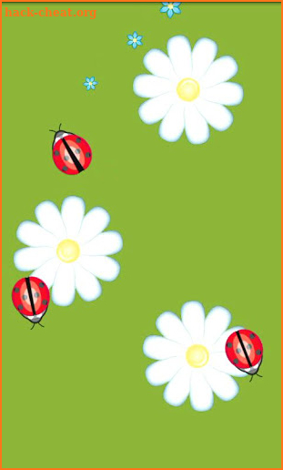 Ladybug Garden Live Wallpaper screenshot