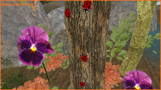 Ladybug simulator screenshot