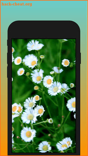 Lamota - A flower native to Central Asia screenshot