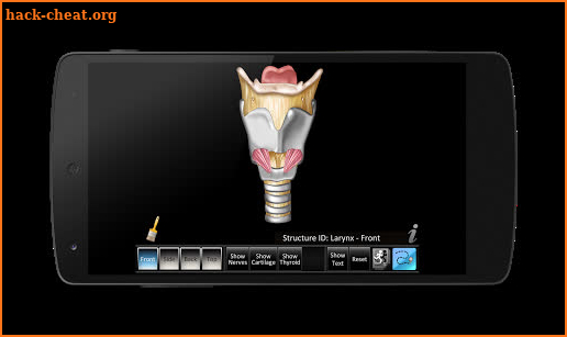 Larynx ID screenshot