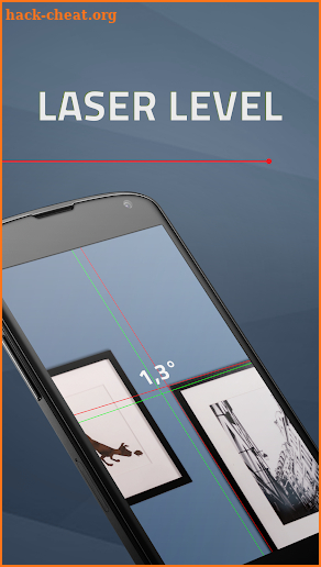 Laser Level screenshot