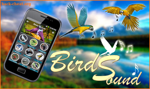 Latest Bird Ringtones 2019 screenshot