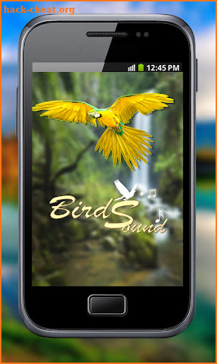 Latest Bird Ringtones 2019 screenshot