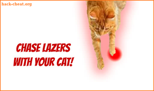 Lazer chase for cats screenshot