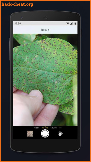 LeafSpot - Plant Identification screenshot