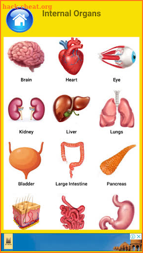 Learn Body Parts in English screenshot