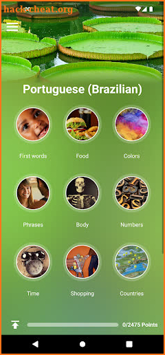 Learn Brazilian Portuguese screenshot