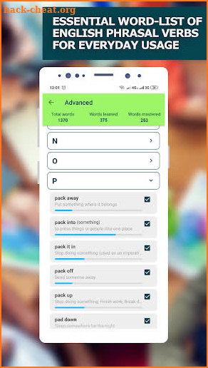 Learn English Phrasal Verbs and Phrases screenshot