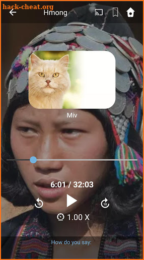 Learn Hmong. Speak Hmong. Study Hmong. screenshot