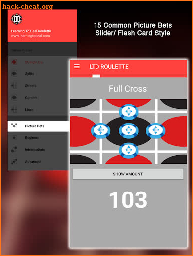 Learning To Deal Roulette (LTD) screenshot