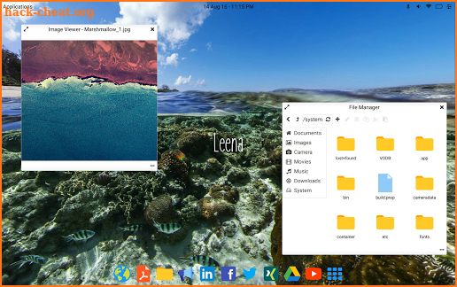 Leena Desktop UI (Multiwindow) screenshot