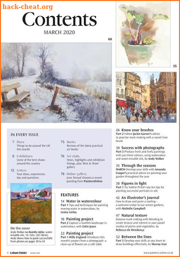 Leisure Painter Magazine screenshot