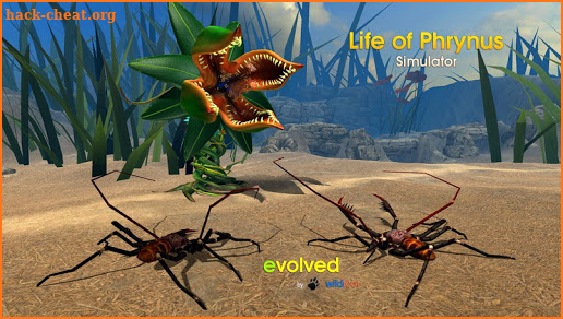 Life of Phrynus - Whip Spider screenshot