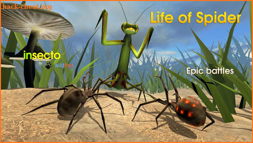 Life of Spider screenshot