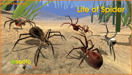 Life of Spider screenshot