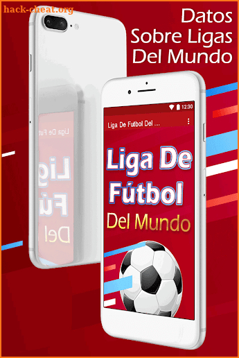 Liga De Fútbol Del Mundo Gratis screenshot