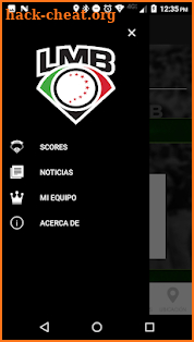 Liga Mexicana de Beisbol LMB screenshot