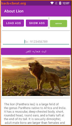 lion screenshot