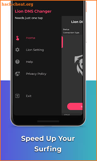 Lion DNS Changer | Internet Optimizer Reduce Ping screenshot
