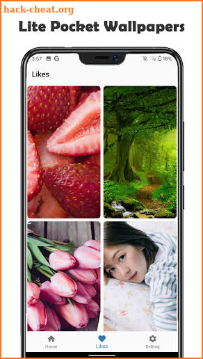 Lite Pocket Wallpapers screenshot