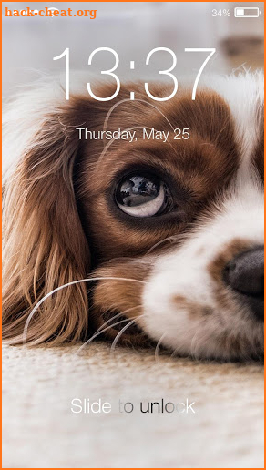 Little Puppy Dog Lock Security Password AppLock screenshot