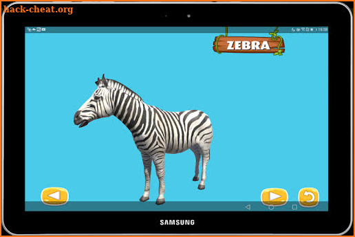 Live Animals 360 screenshot