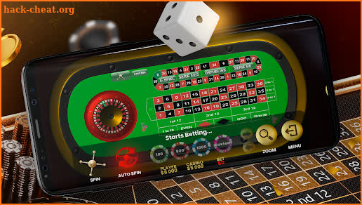 Live Roulette 24 screenshot