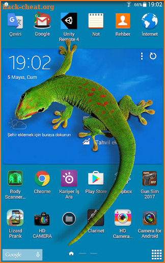 Lizard  on phone  prank screenshot