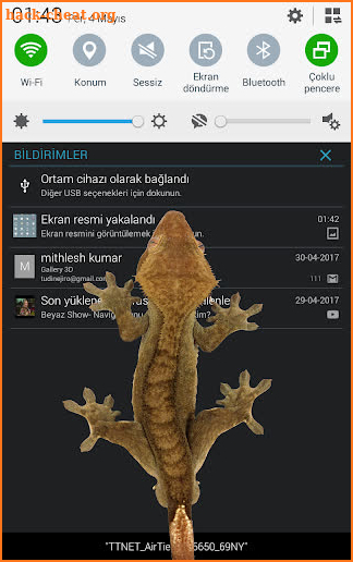 Lizard  on phone  prank screenshot