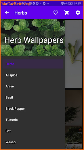 Local Herbs screenshot