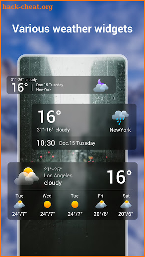 Local Weather screenshot