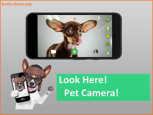 Look Here - Pet Camera screenshot