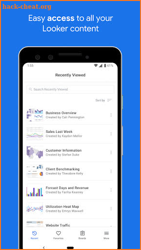 Looker Mobile screenshot