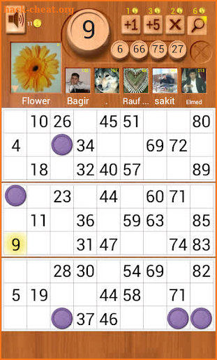 Loto Online screenshot