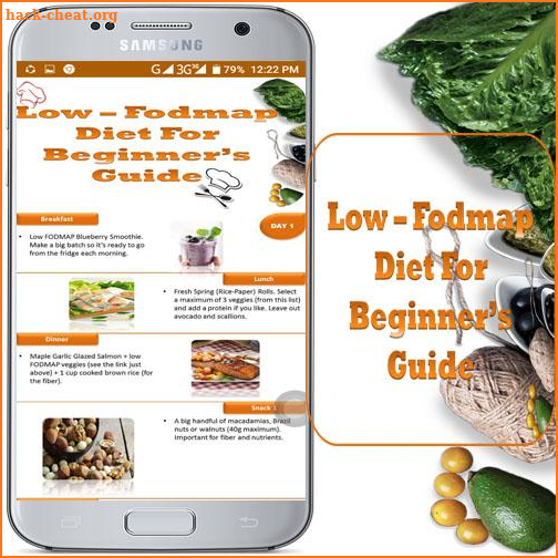 Low - Fodmap Diet for Beginner's Guide screenshot