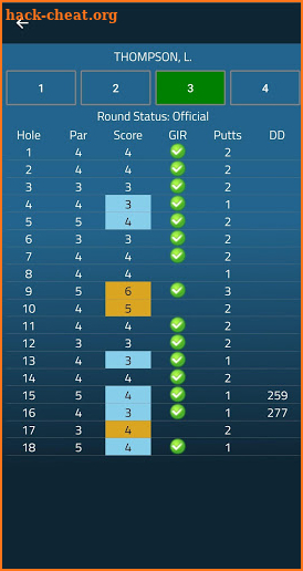 LPGA Player screenshot