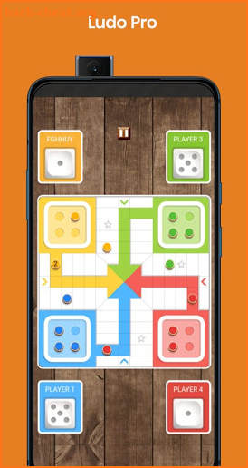 Ludo Pro screenshot