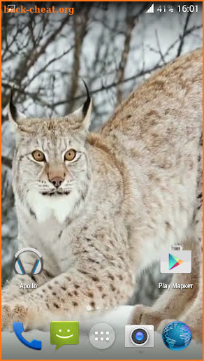 Lynx. Video Wallpaper screenshot