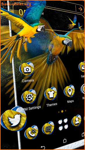 Macaw Parrot Launcher Theme screenshot