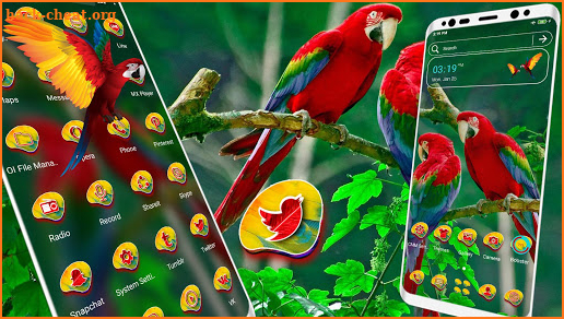 Macaw Parrot Theme screenshot