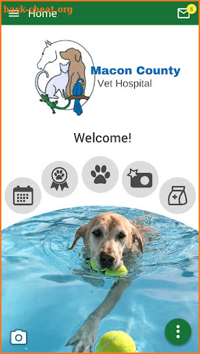 Macon County Vet Hospital screenshot