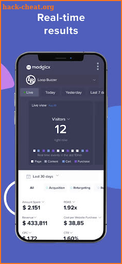 Madgicx For Facebook Business screenshot