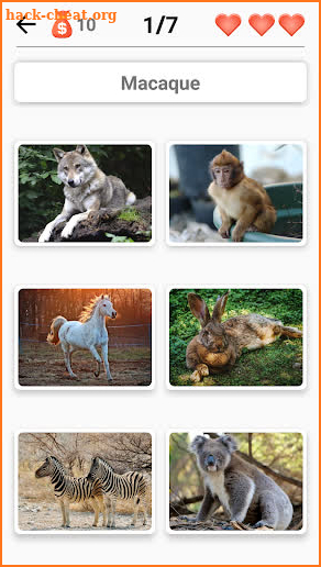 Mammals – Learn All Animals in Foto-Quiz! screenshot