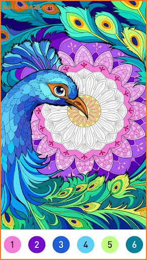 Mandala Color by Number Book screenshot