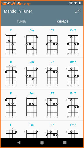 Mandolin Tuner screenshot