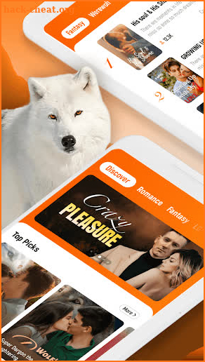 MangoReader-ebooks & fictions screenshot