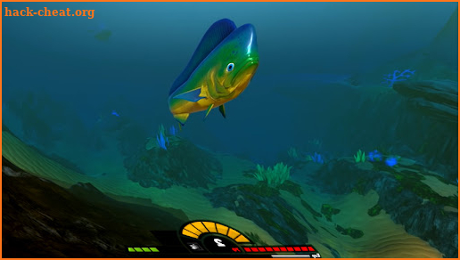 Manual : Feed Fish And Grow guide screenshot